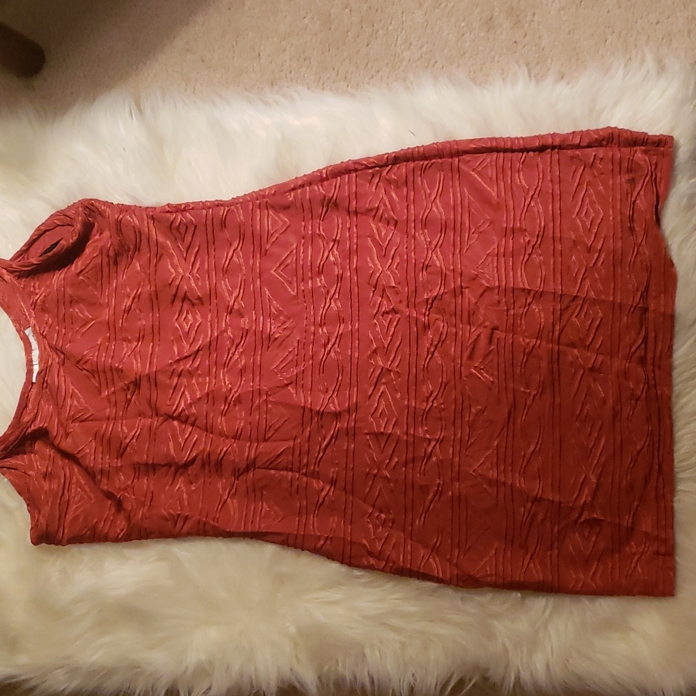 Newport News Burnt Orange Fitted Dress